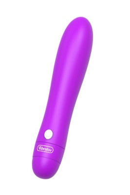 12 Hızlı Çubuk Vibratör